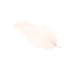 перо